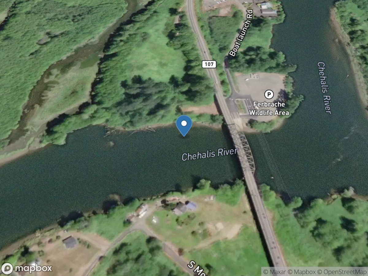 Chehalis River near Montesano, WA location