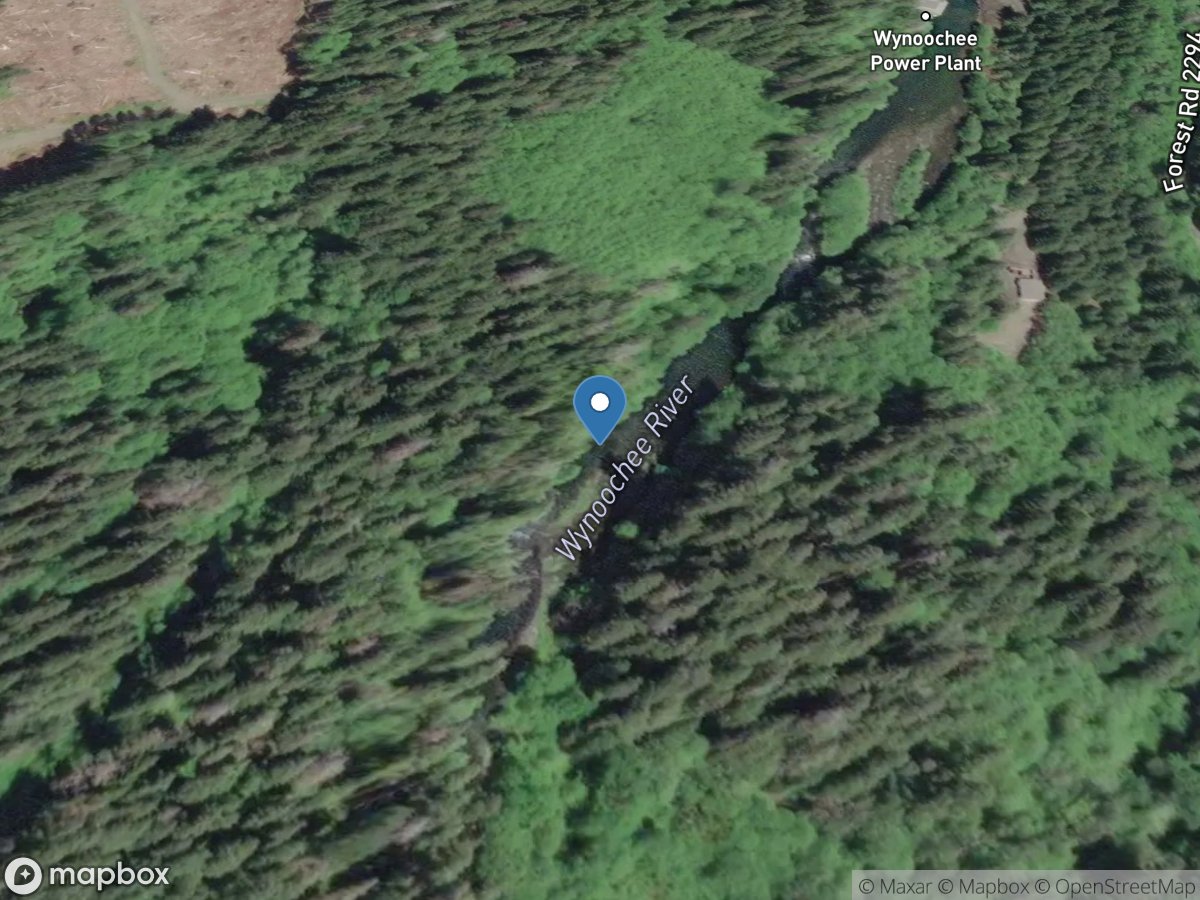 Wynoochee River near Grisdale, WA location