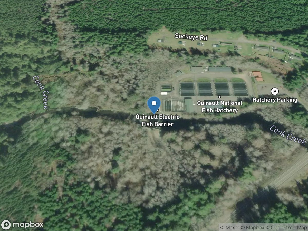 Cook Creek below Hatchery near Quinault, WA location