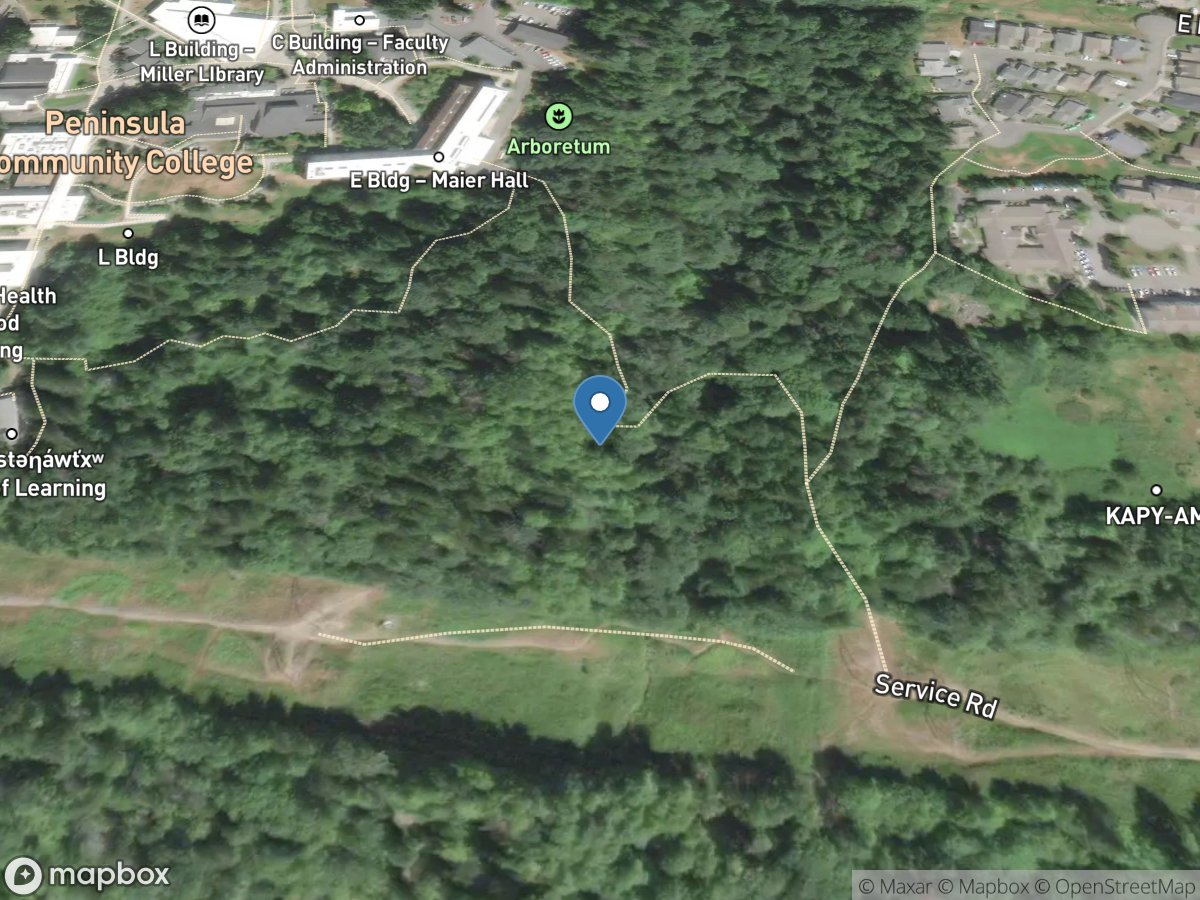 White Creek Ds of Wabash ST near Port Angeles, WA location