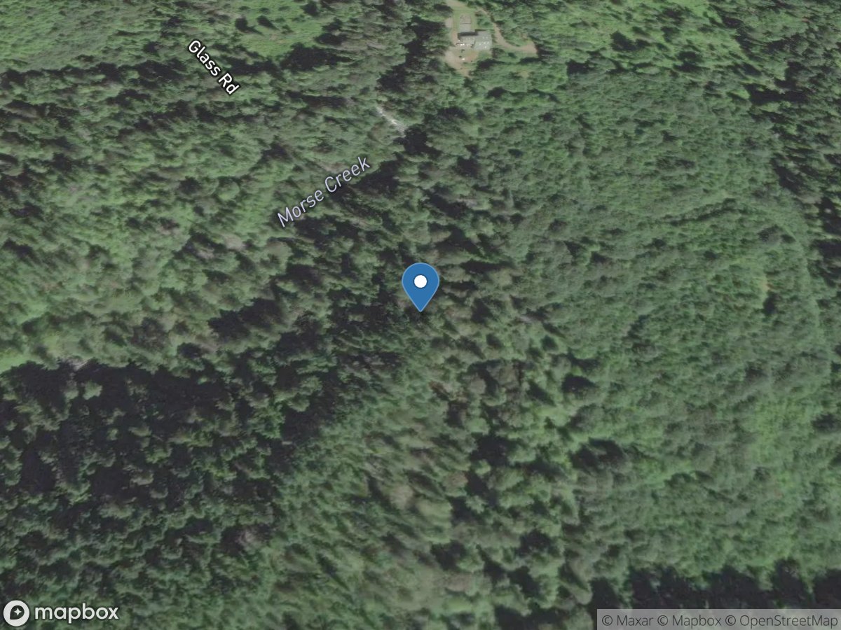 Surveyor Creek near Little Oklahoma, WA location