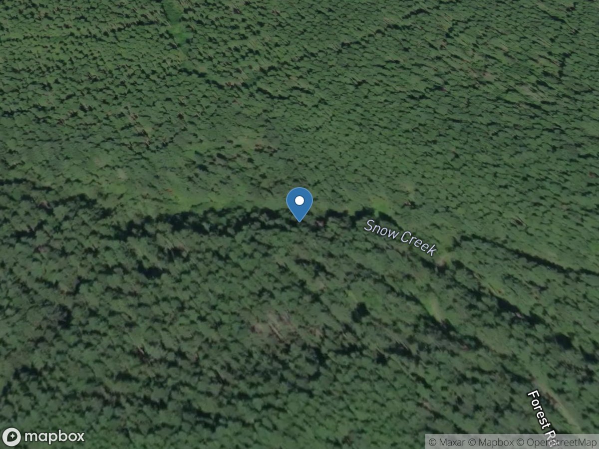 Snow Creek above NF-2814 Road near Maynard, WA location