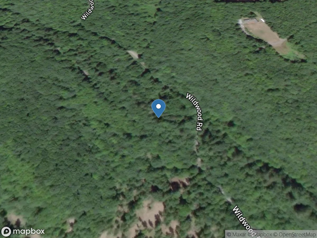 Unnamed Tributary to Little Quilcene River near Quilcene, WA location