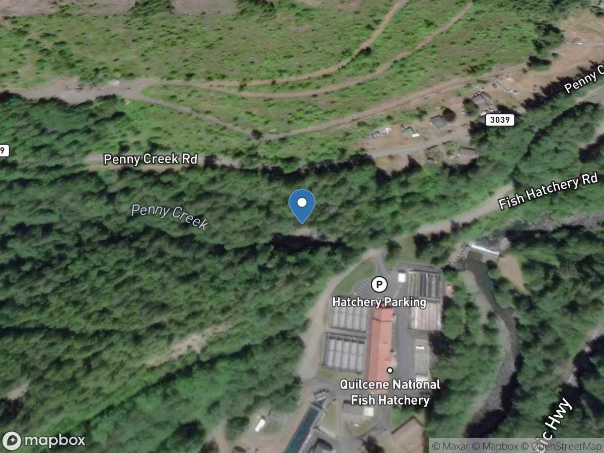 Penny Creek above Hatchery near Quilcene, WA location