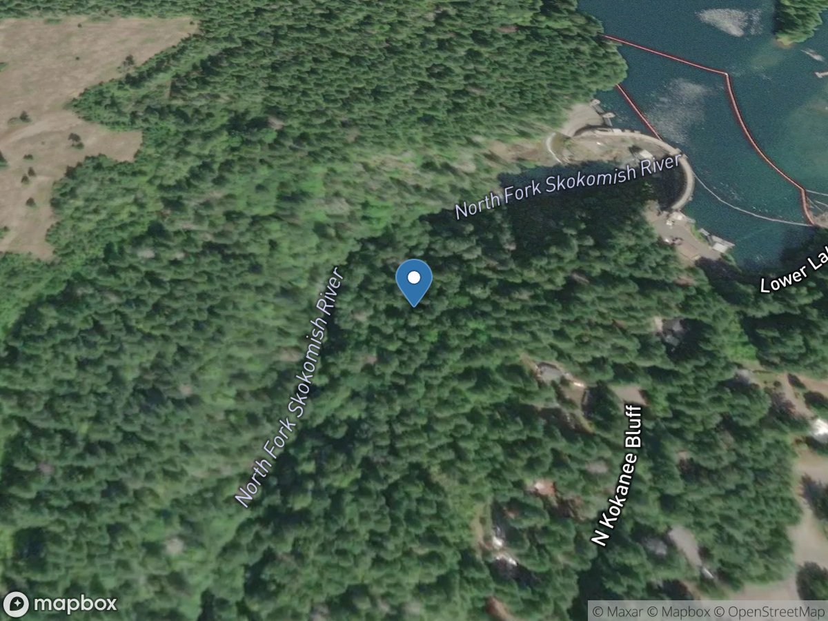 NF Skokomish River near Lwr Cushman DAM near Potlatch, WA location