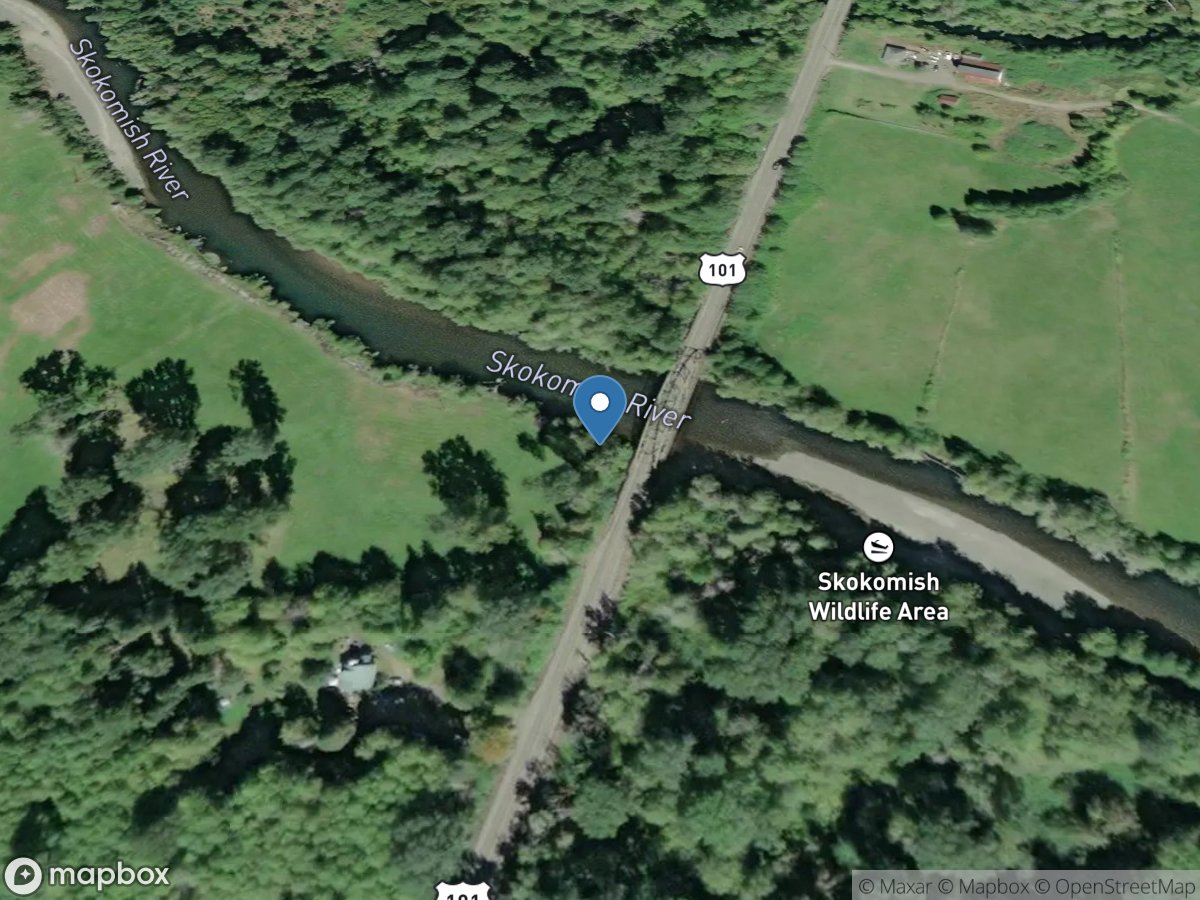 Skokomish River near Potlatch, WA location