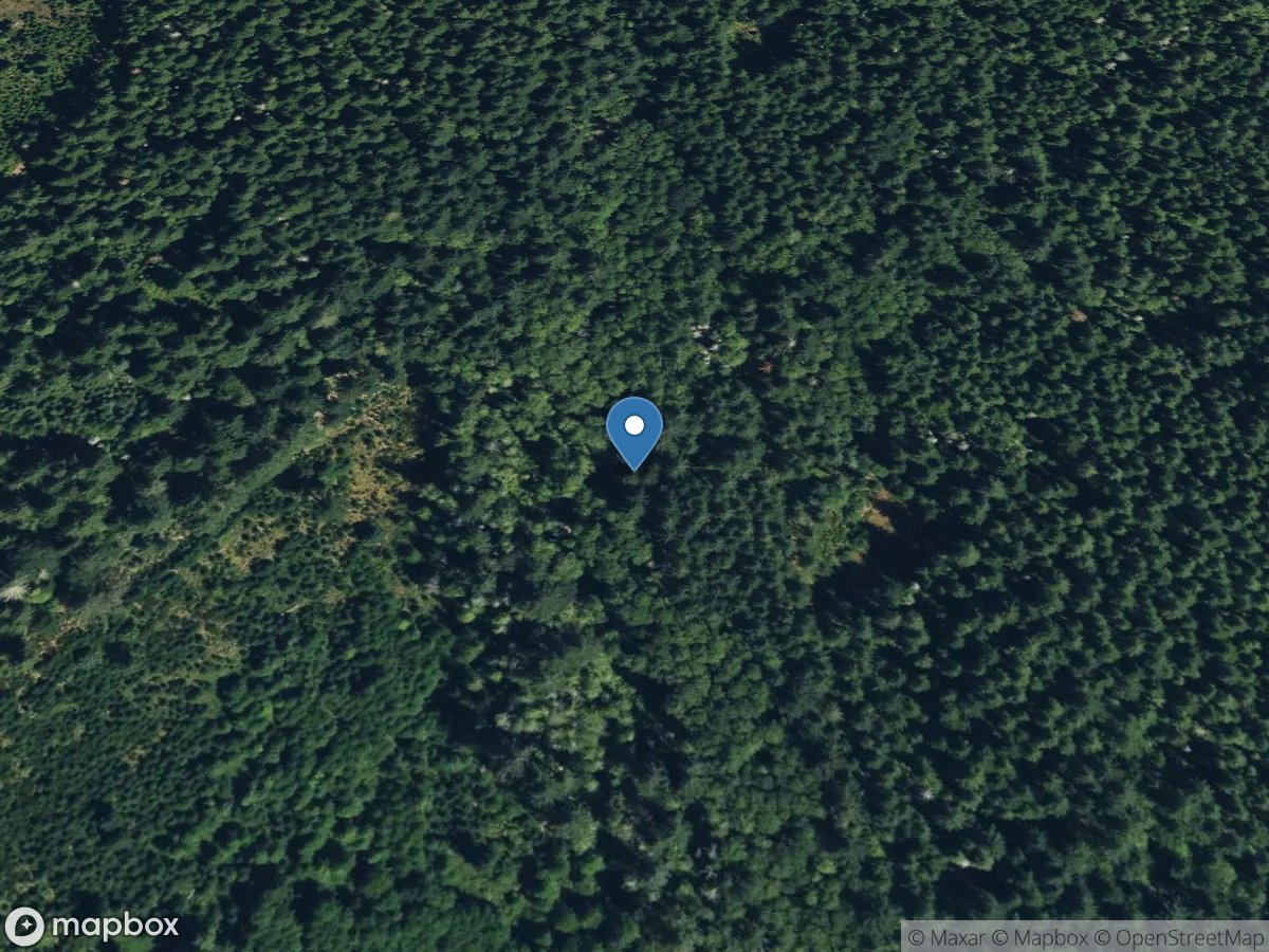 Tributary to Union River near Belfair, WA location