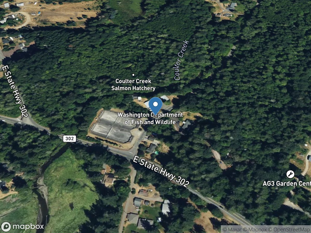 Unnamed Tributary to Coulter Creek near Allyn, WA location