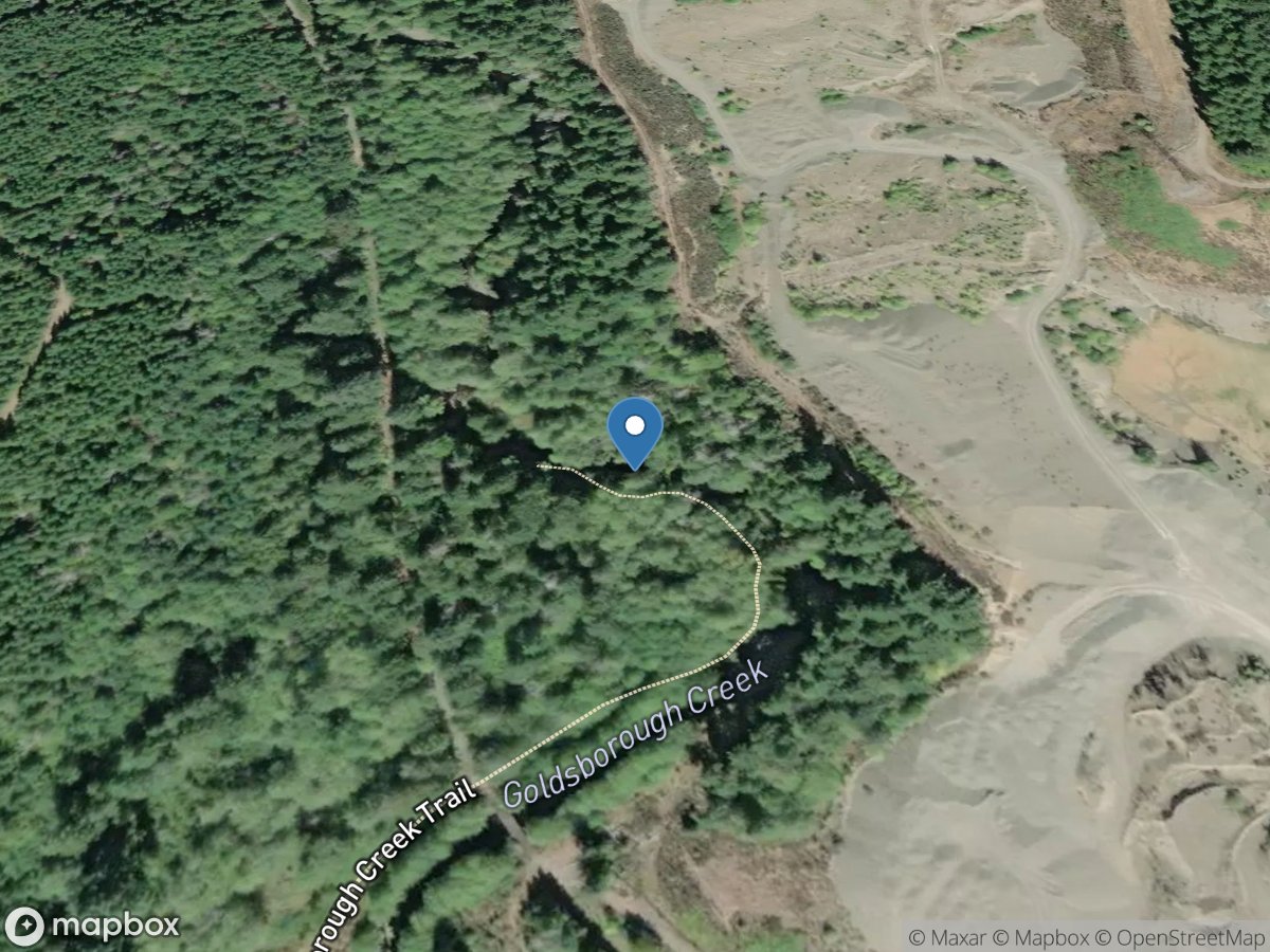 Goldsborough Creek near Gravel Pits near Shelton, WA location