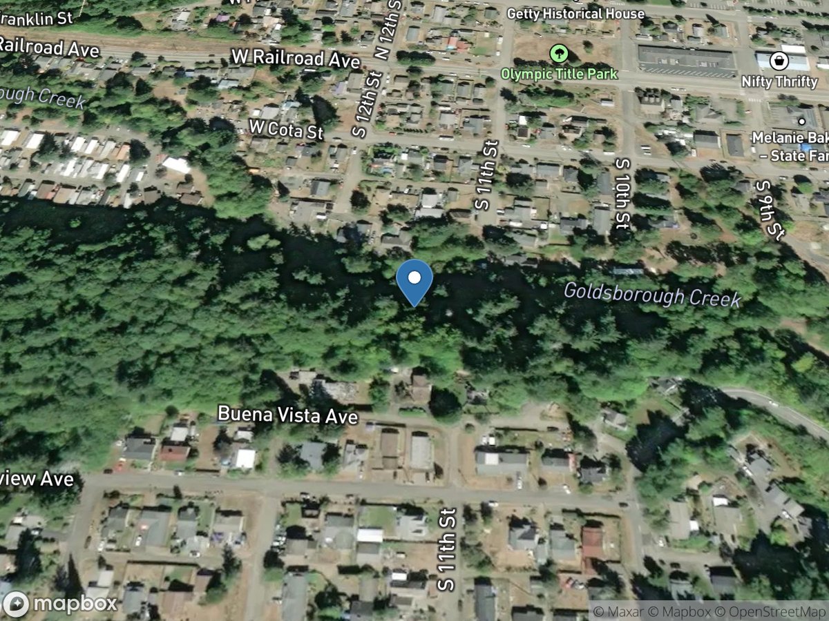 Goldsborough Creek above 7th Street at Shelton, WA location