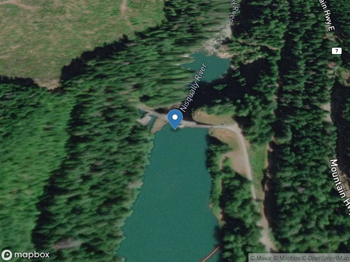 Nisqually River at LA Grande DAM, WA location