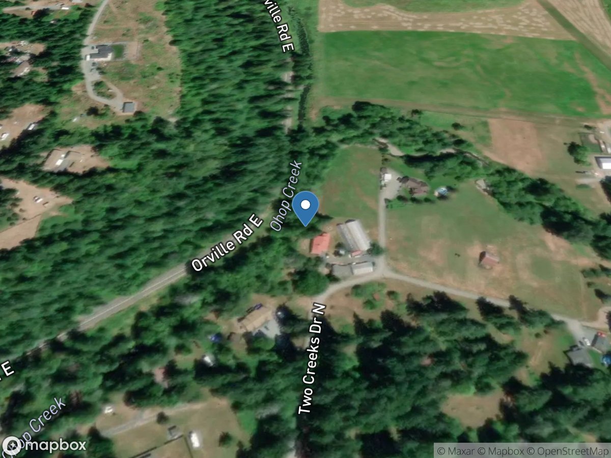 Ohop Creek near Eatonville, WA location