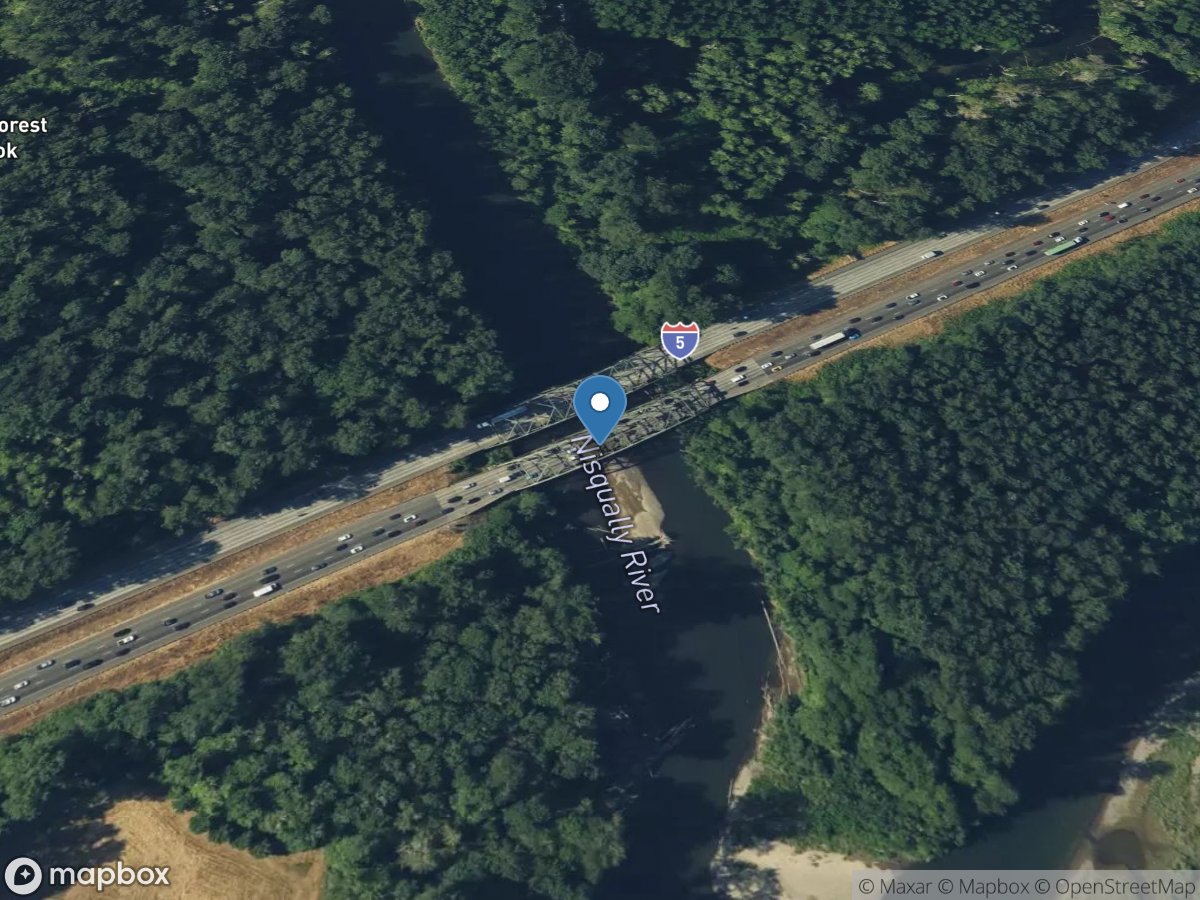 Nisqually River at I5 near Nisqually, WA location