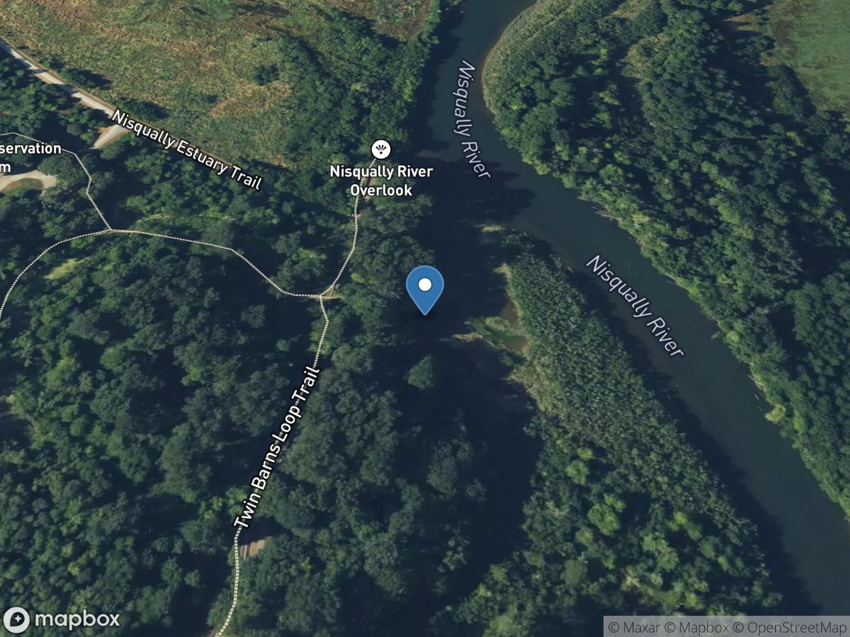 Nisqually River at Nisqually Est Trl near Nisqually, WA location