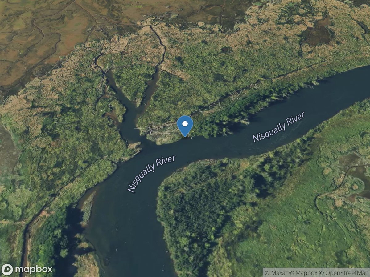 Nisqually River near Nisqually Nwr at Nisqually, WA location