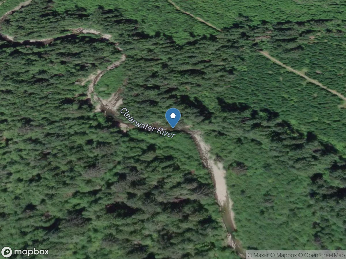 Clearwater River Upstream of Mouth near Buckley, WA location