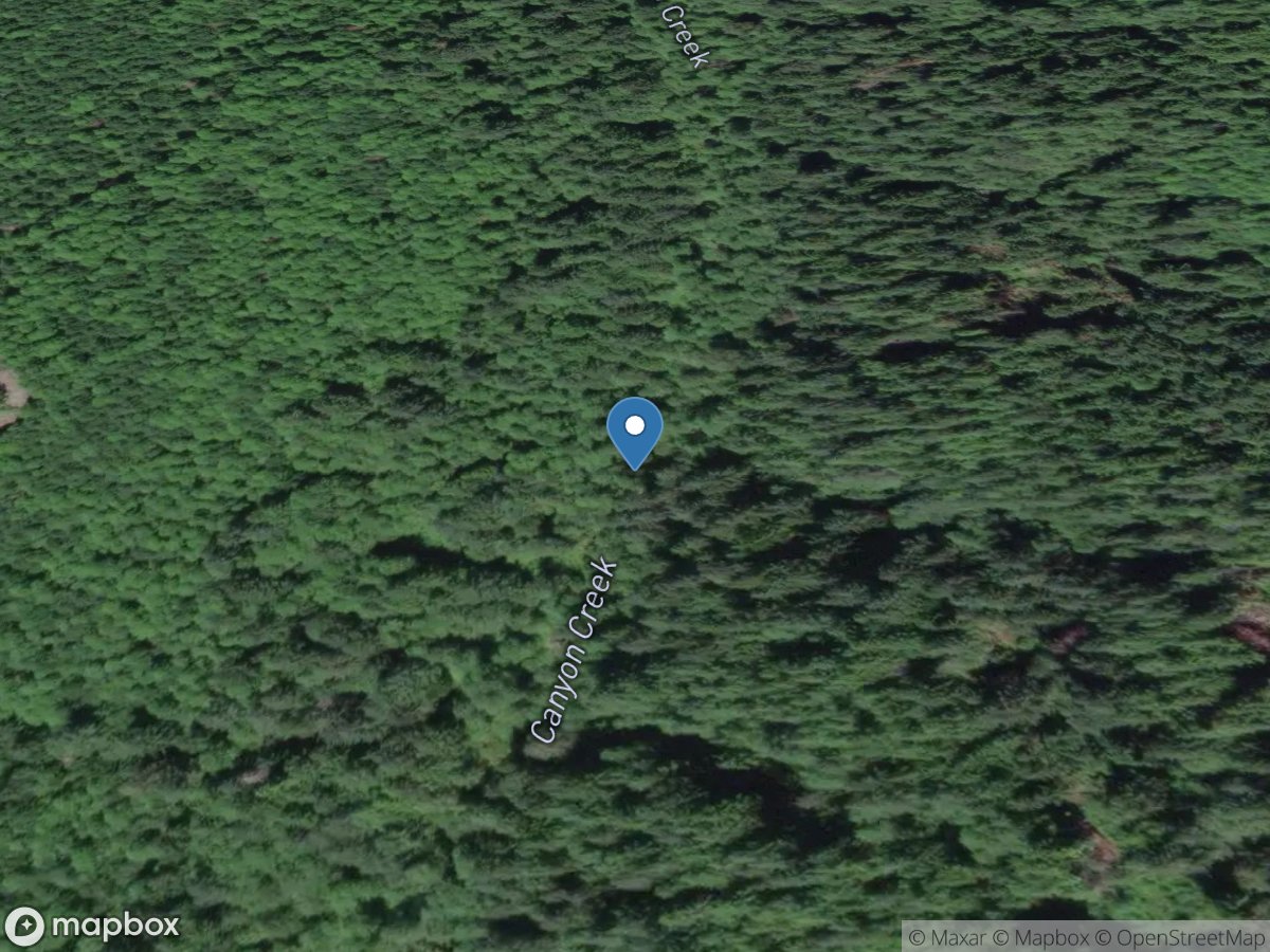 Canyon Creek near Buckley, WA location