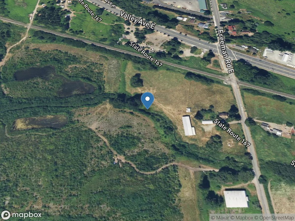 Wapato Creek Downstream of Freeman Road East near Fife, WA location