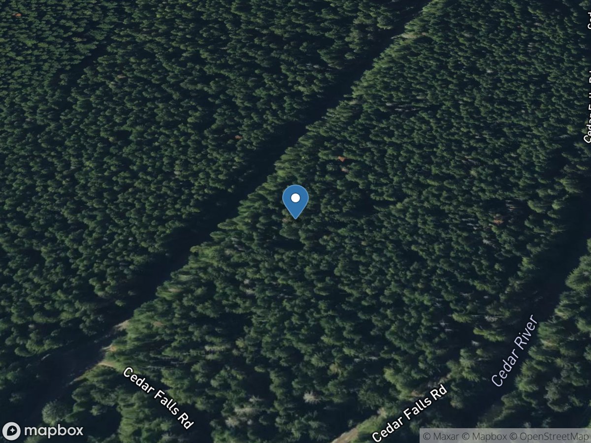 Cedar River at Cedar Falls, WA location