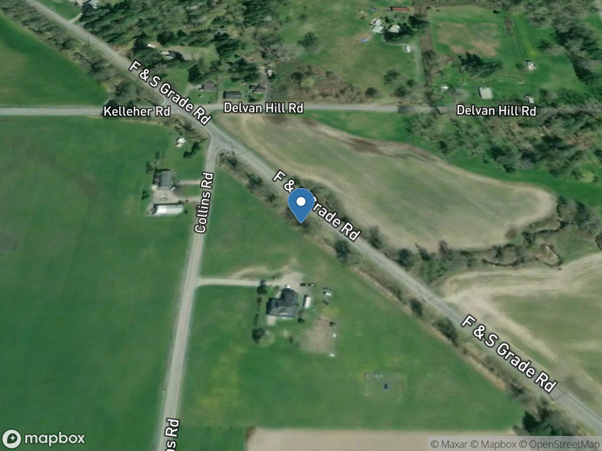 Willard Creek above Thomas Creek near Sedro Woolley, WA location