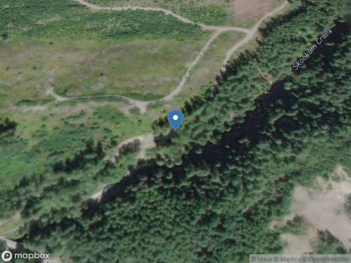 Skookum Creek above Diversion near Wickersham, WA location