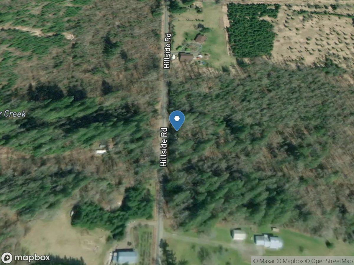 Sygitowicz Creek near Van Zandt, WA location