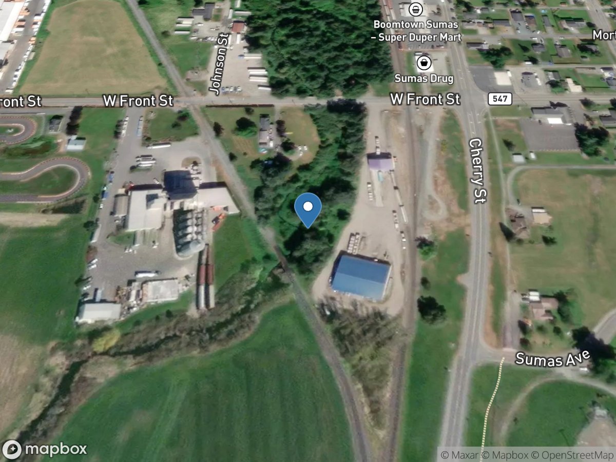 Johnson Creek below Bone Creek at Sumas, WA location