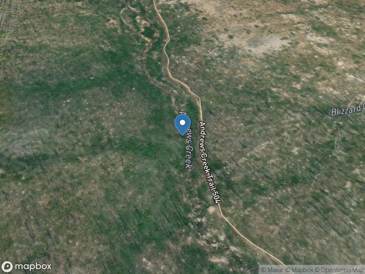 Andrews Creek near Mazama, WA location