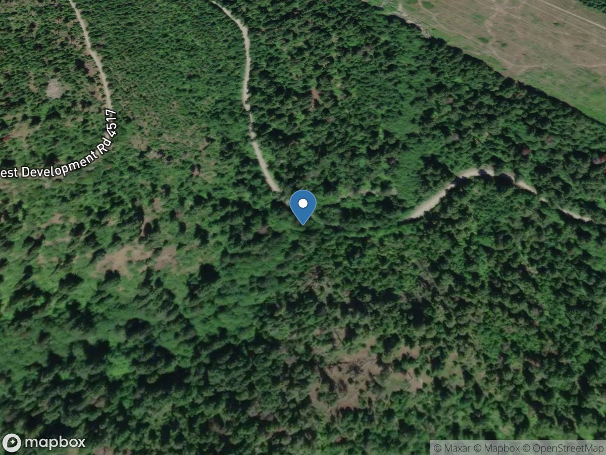 Little Creek at Fs Road 4517 near Easton, WA location