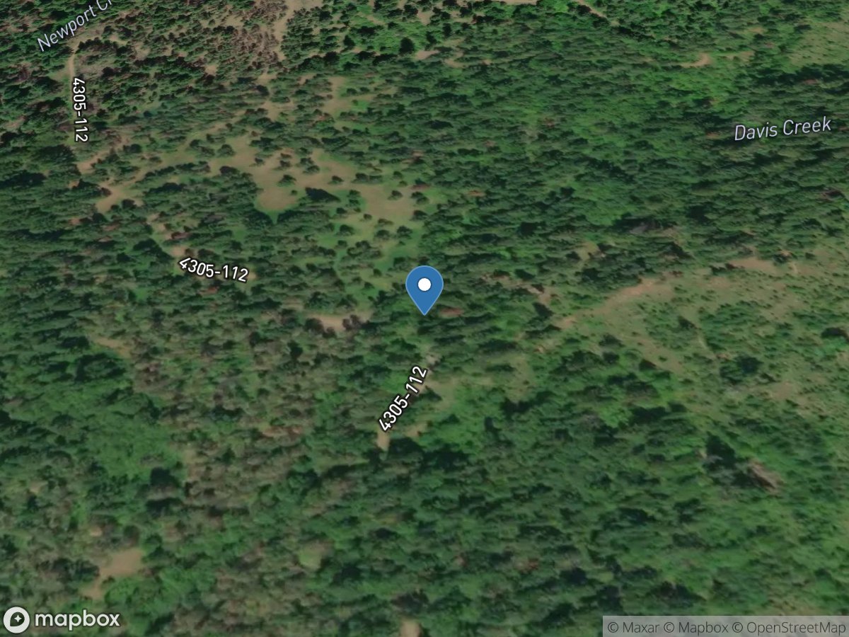 Davis Creek 1.25 MI above Mouth near Lakedale, WA location