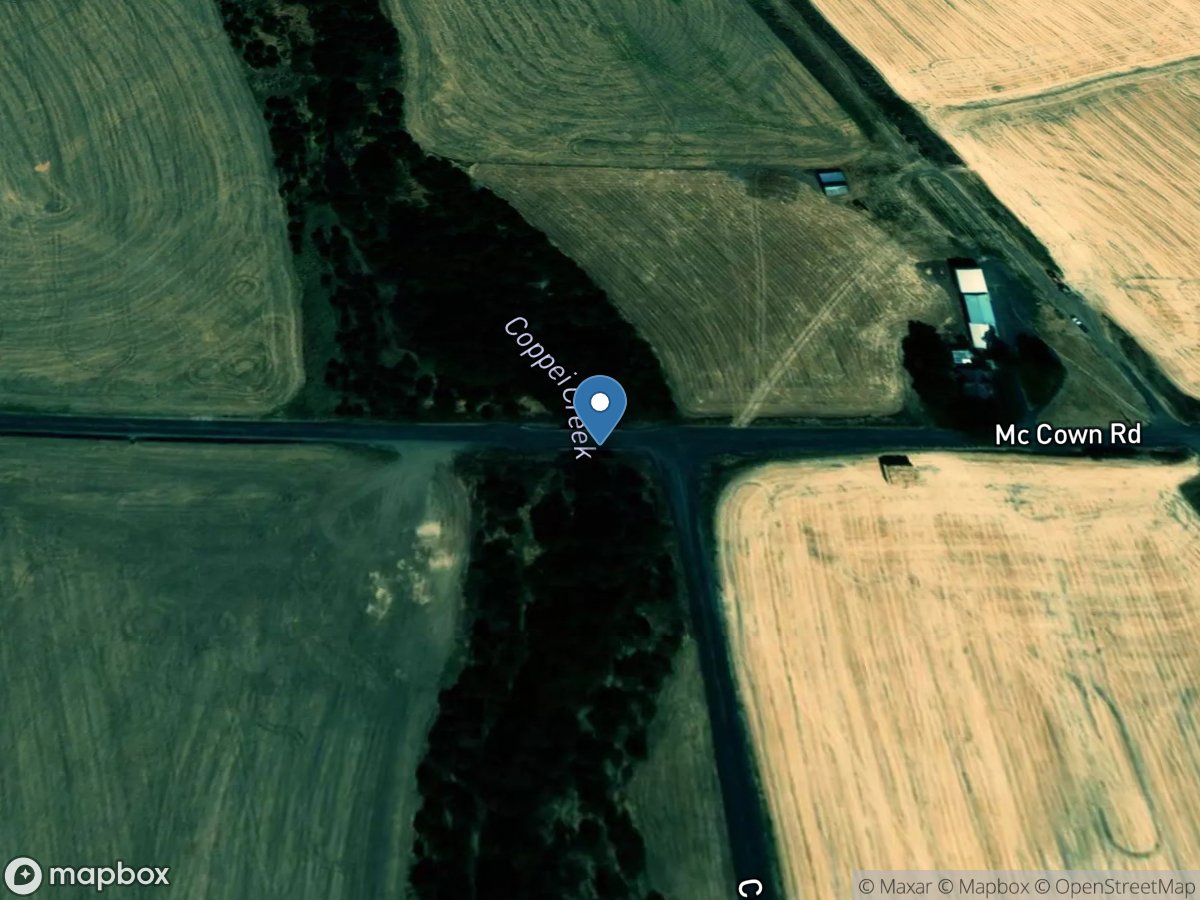 Coppei Creek at McCown Road near Waitsburg, WA location