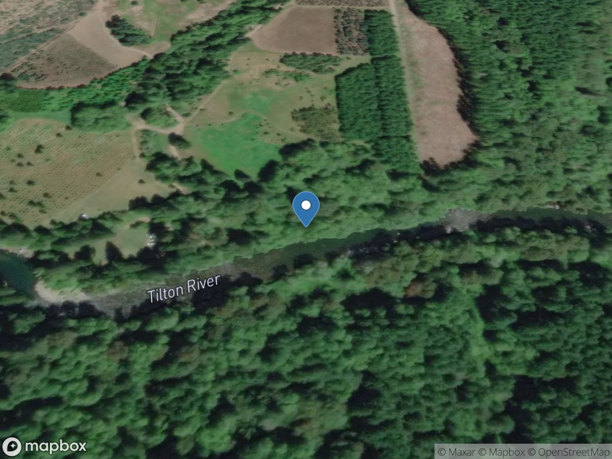 Tilton River above Bear Canyon Creek near Cinebar, WA location