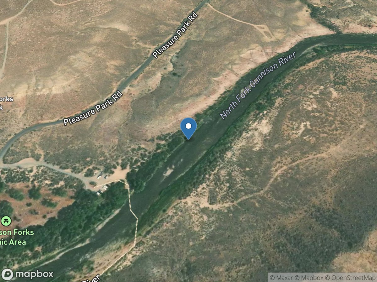 North Fork Gunnison River above Mouth near Lazear, CO location