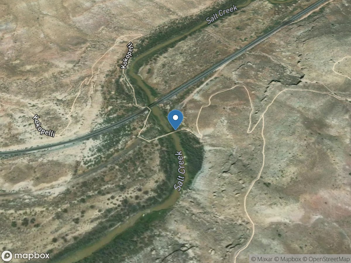 Salt Creek near Mouth near Mack, Co. location