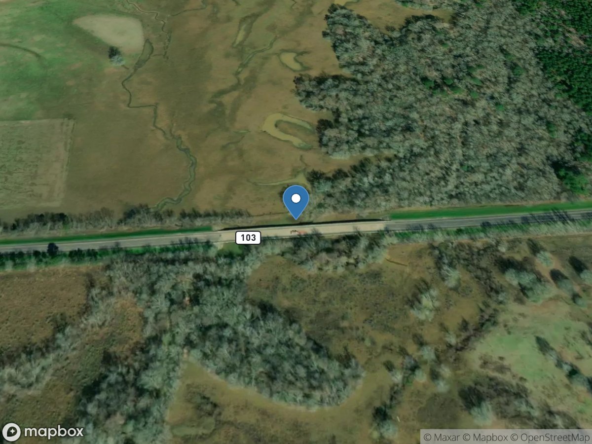 Ayish Bayou near San Augustine, TX location