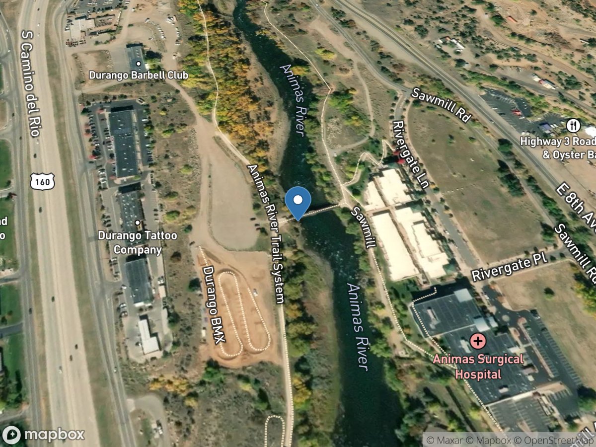 Animas River below Durango Pump Plant near Durango, CO location