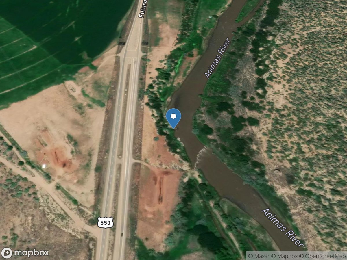 Animas River near Cedar Hill, NM location