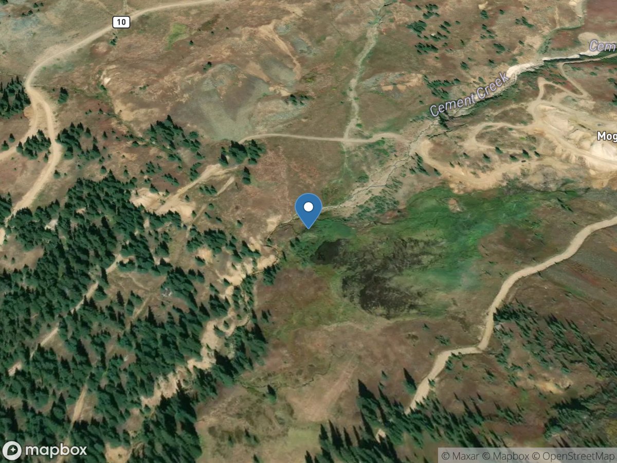 Mogul Fen Drainage above Cement Creek near Gladstone CO location