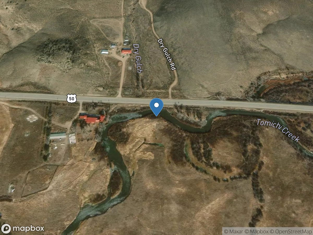 Tomichi Ck. Blw. Cochetopa Ck. Nr. Parlin, CO location