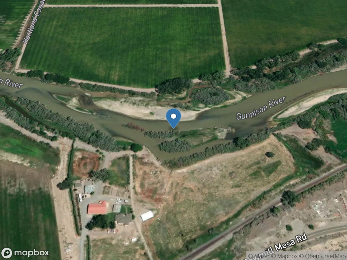 Gunnison River below G50 Bridge near Delta, CO location
