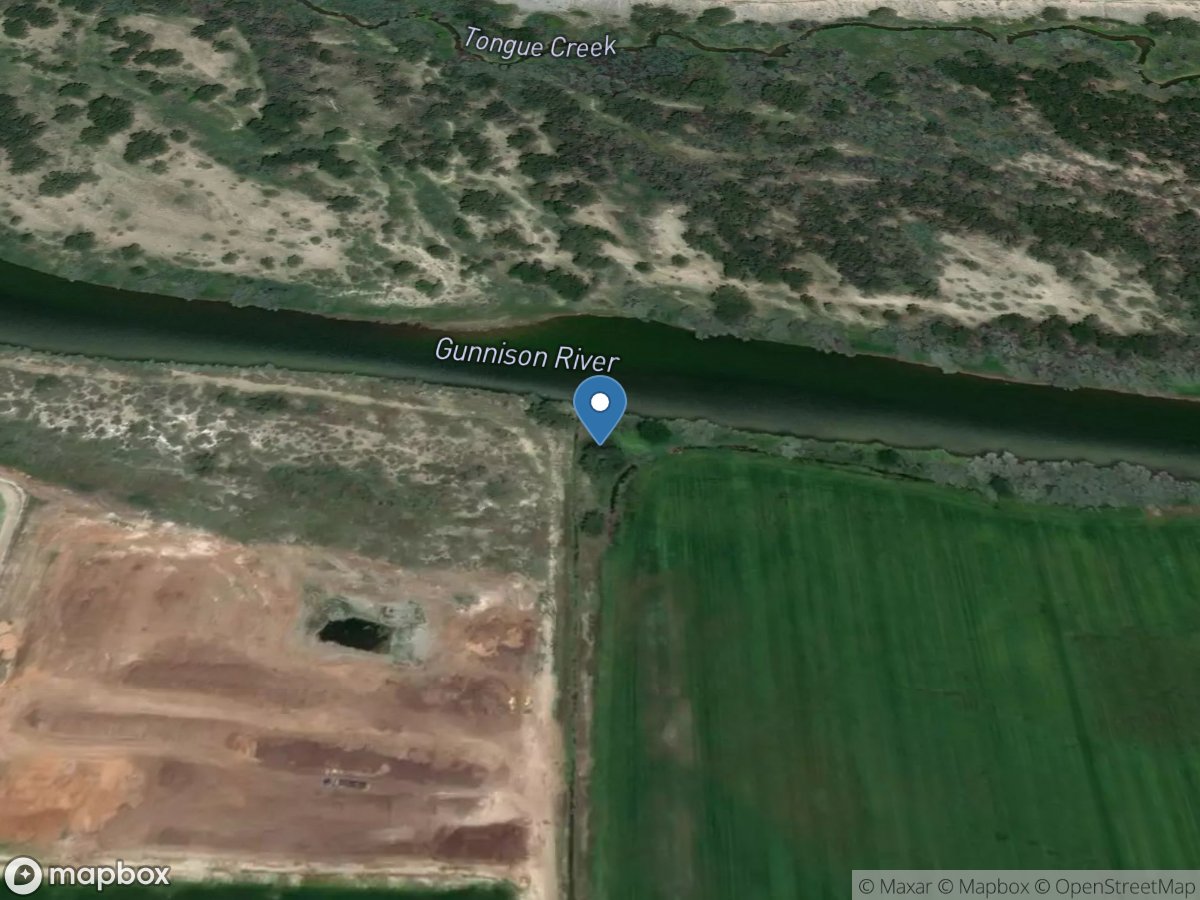 Gunnison River Ditch above Tongue Creek near Cory, CO location