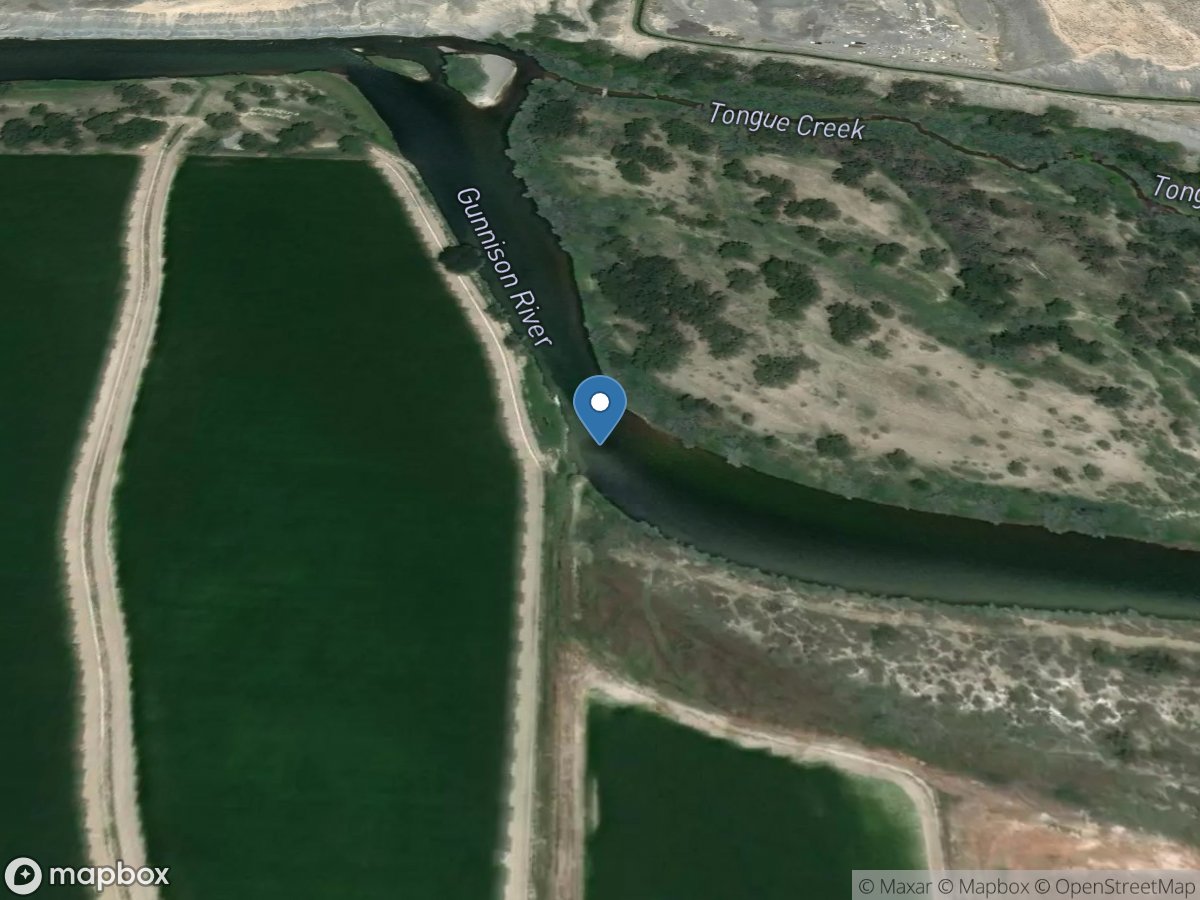 GUNNISON River Tributary ABOVE TONGUE CREEK Near CORY, CO location