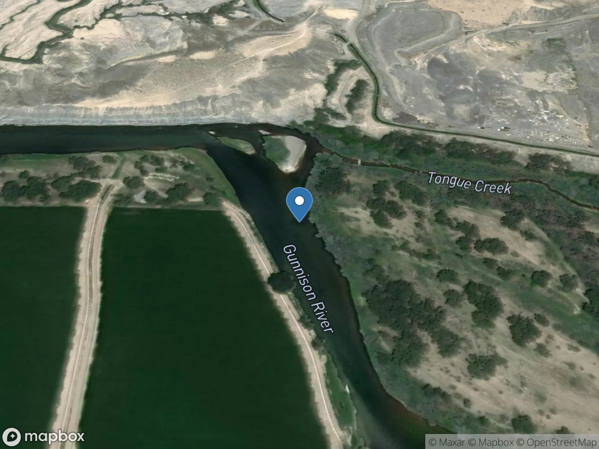 Gunnison River above Tounge Creek near Cory, CO location