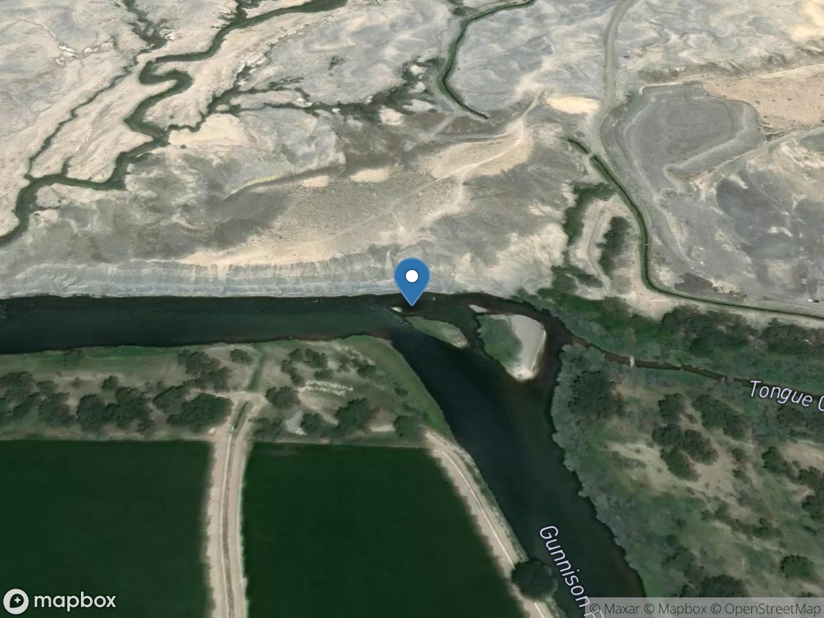 Gunnison River below Tongue Creek near Cory, CO location