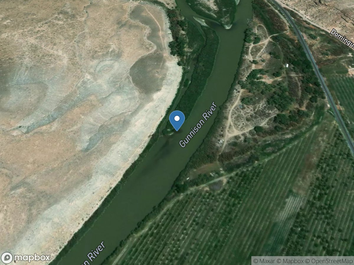 Gunnison River below Broughton DIV near Delta, CO location