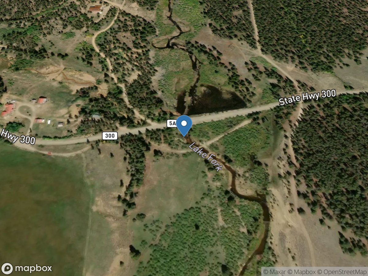 Lake Fork (lf-2500) near Leadville, CO location