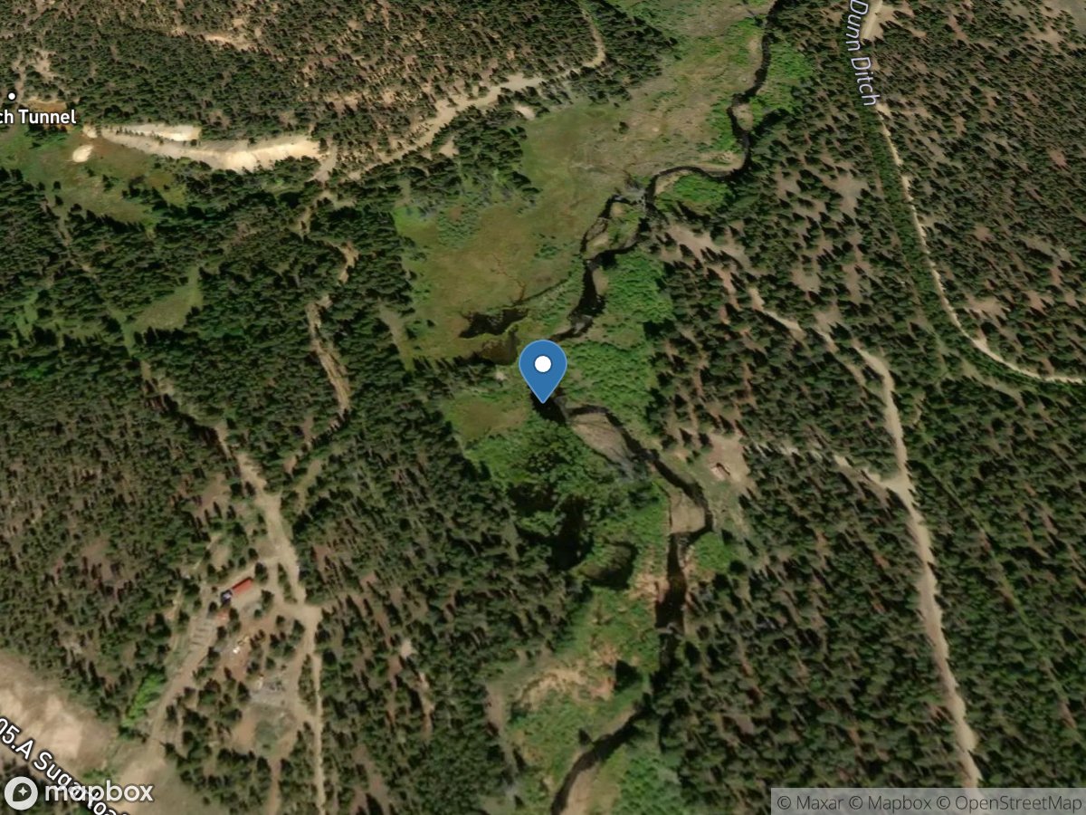 Lake Fork (lf-1525) near Leadville, CO location