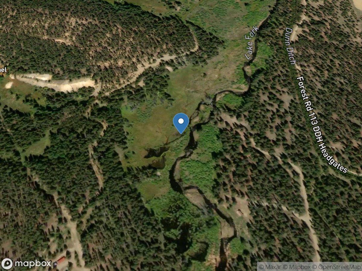 Rt Bank Inflow (lf-1425) near Leadville, CO location