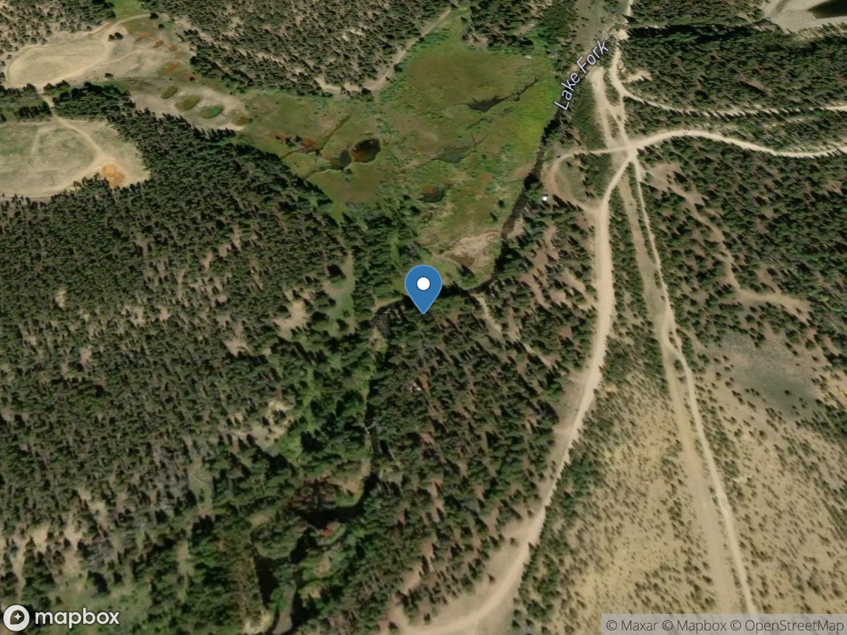 Lake Fork (lf-523) near Leadville, CO location