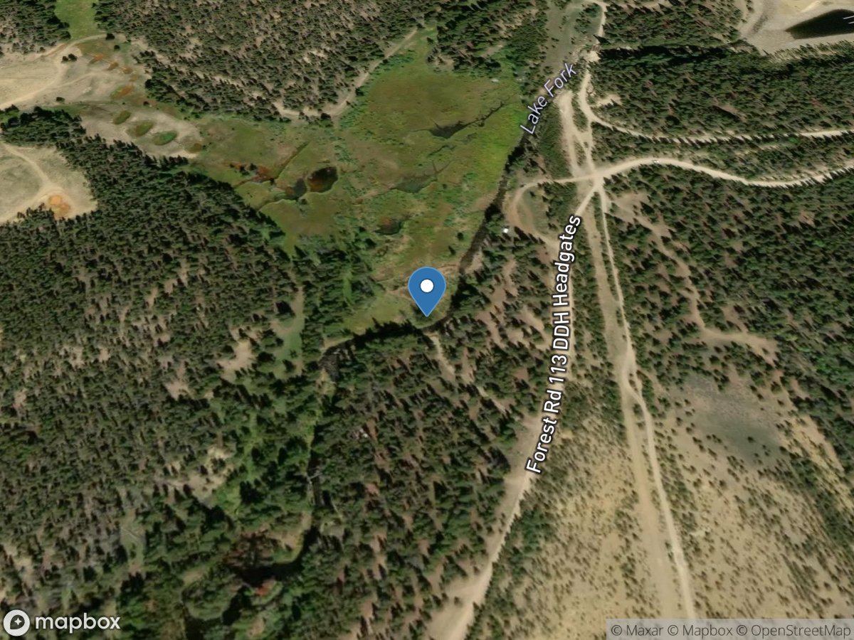 Lake Fork (lf-455) near Leadville, CO location